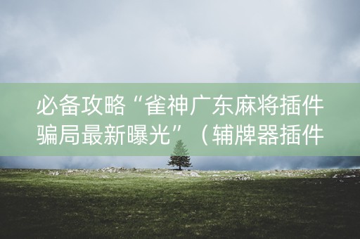 必备攻略“雀神广东麻将插件骗局最新曝光”（辅牌器插件购买)