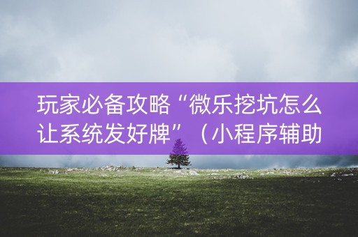 玩家必备攻略“微乐挖坑怎么让系统发好牌”（小程序辅助软件)
