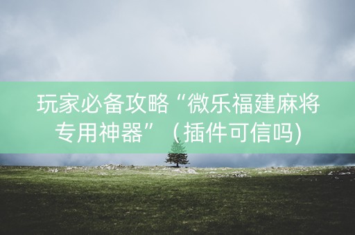 玩家必备攻略“微乐福建麻将专用神器”（插件可信吗)