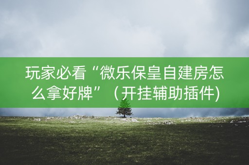 玩家必看“微乐保皇自建房怎么拿好牌”（开挂辅助插件)