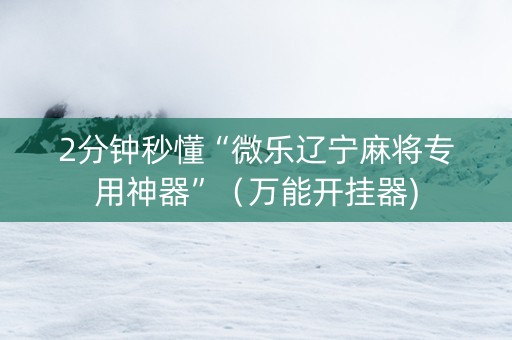 2分钟秒懂“微乐辽宁麻将专用神器”（万能开挂器)