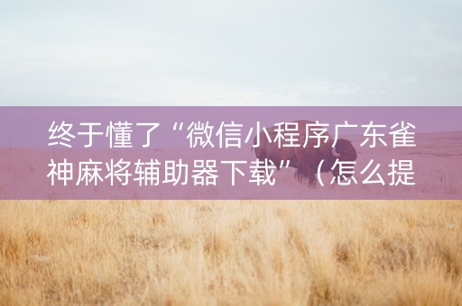 终于懂了“微信小程序广东雀神麻将辅助器下载”（怎么提高胜率)