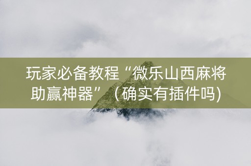 玩家必备教程“微乐山西麻将助赢神器”（确实有插件吗)