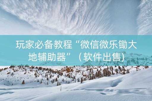 玩家必备教程“微信微乐锄大地辅助器”（软件出售)