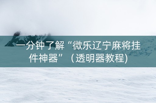 一分钟了解“微乐辽宁麻将挂件神器”（透明器教程)