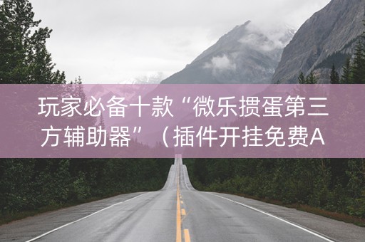 玩家必备十款“微乐掼蛋第三方辅助器”（插件开挂免费AI)