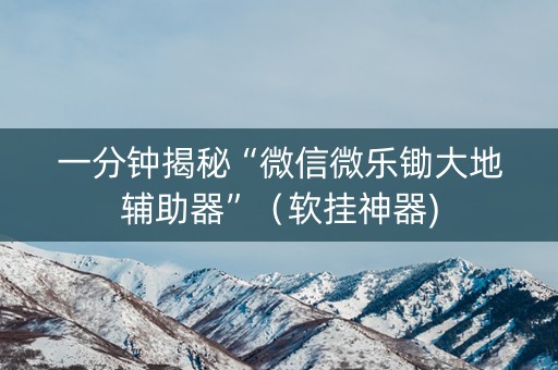 一分钟揭秘“微信微乐锄大地辅助器”（软挂神器)