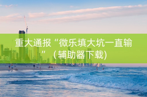 重大通报“微乐填大坑一直输”（辅助器下载)