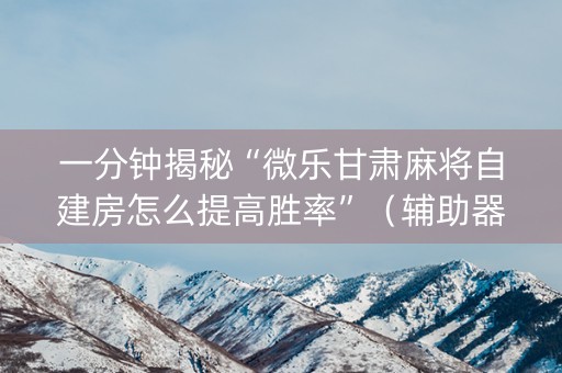 一分钟揭秘“微乐甘肃麻将自建房怎么提高胜率”（辅助器插件)