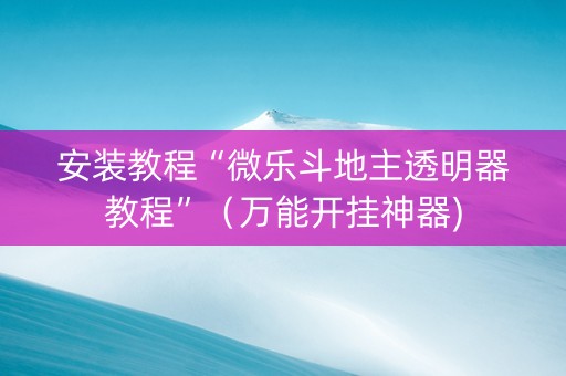 安装教程“微乐斗地主透明器教程”（万能开挂神器)