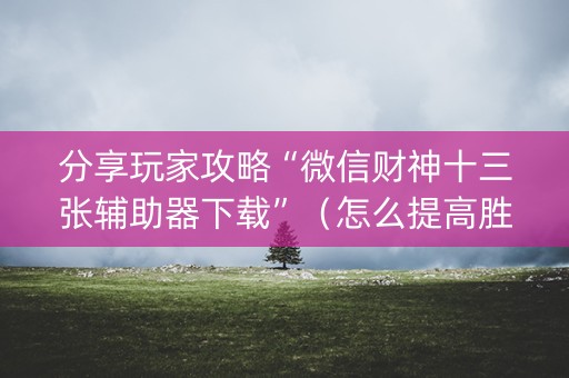 分享玩家攻略“微信财神十三张辅助器下载”（怎么提高胜率)