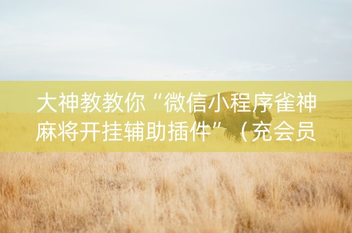 大神教教你“微信小程序雀神麻将开挂辅助插件”（充会员胜率高)