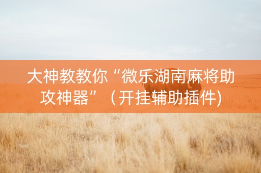 大神教教你“微乐湖南麻将助攻神器”（开挂辅助插件)