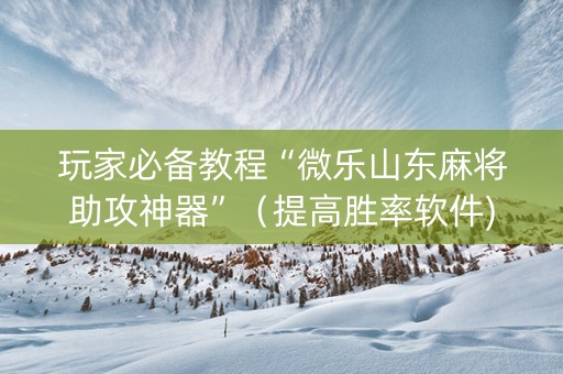 玩家必备教程“微乐山东麻将助攻神器”（提高胜率软件)