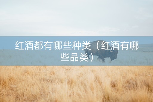 红酒都有哪些种类（红酒有哪些品类）