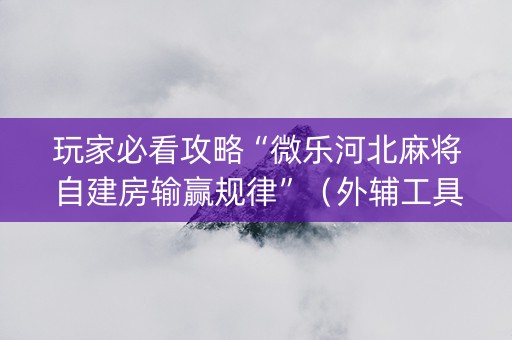 玩家必看攻略“微乐河北麻将自建房输赢规律”（外辅工具)