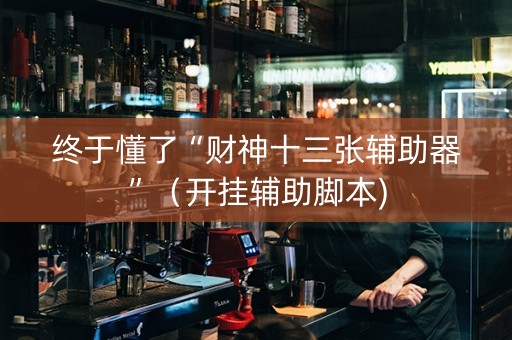 终于懂了“财神十三张辅助器”（开挂辅助脚本)