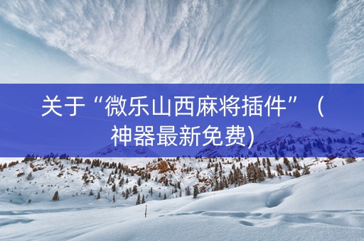 关于“微乐山西麻将插件”（神器最新免费)