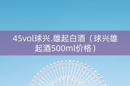 45vol球兴.雄起白酒（球兴雄起酒500ml价格）