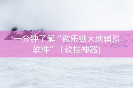 一分钟了解“微乐锄大地辅助软件”（软挂神器)