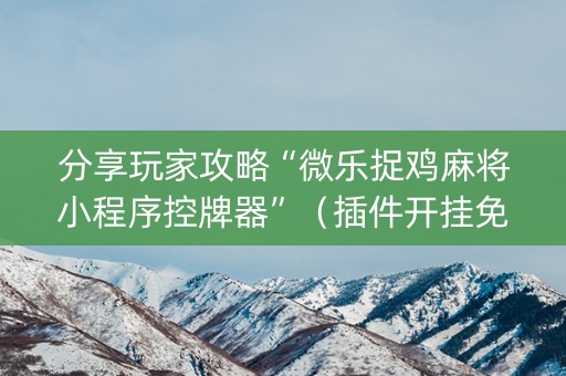 分享玩家攻略“微乐捉鸡麻将小程序控牌器”（插件开挂免费AI)