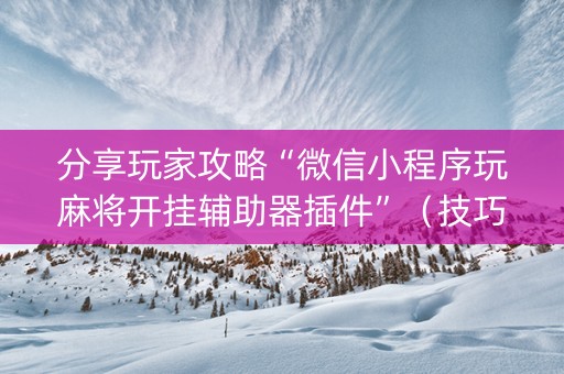 分享玩家攻略“微信小程序玩麻将开挂辅助器插件”（技巧和打好牌方法)
