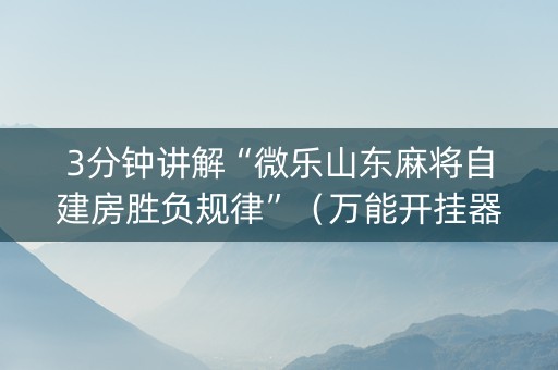 3分钟讲解“微乐山东麻将自建房胜负规律”（万能开挂器)
