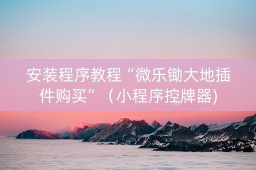 安装程序教程“微乐锄大地插件购买”（小程序控牌器)