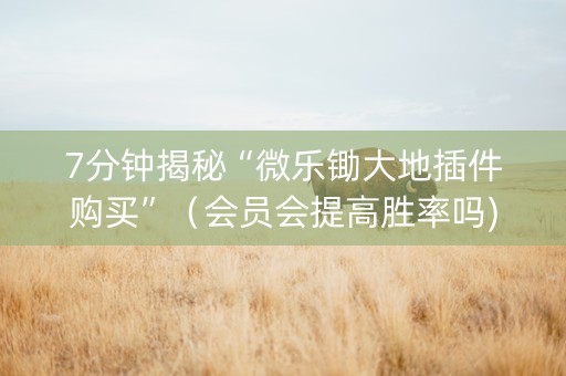 7分钟揭秘“微乐锄大地插件购买”（会员会提高胜率吗)