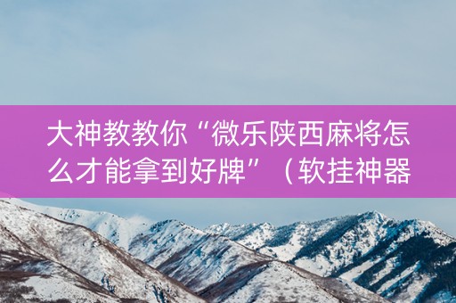 大神教教你“微乐陕西麻将怎么才能拿到好牌”（软挂神器)