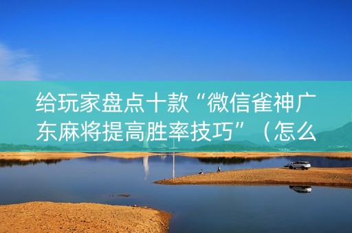给玩家盘点十款“微信雀神广东麻将提高胜率技巧”（怎么调胜率)