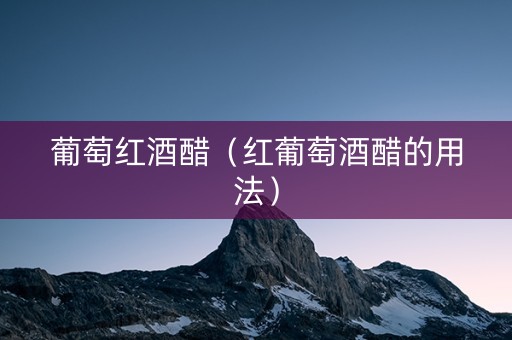 葡萄红酒醋（红葡萄酒醋的用法）