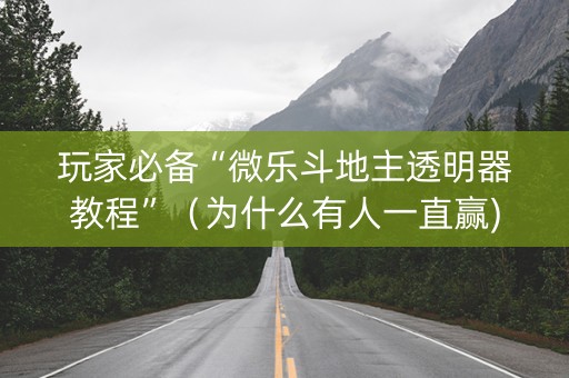 玩家必备“微乐斗地主透明器教程”（为什么有人一直赢)