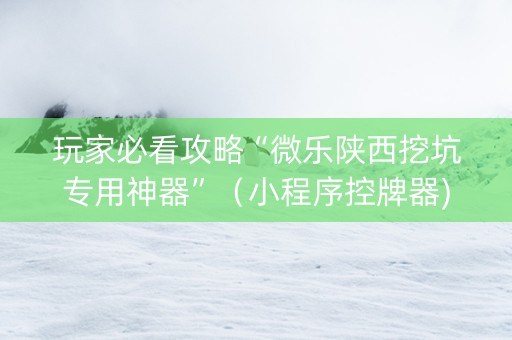 玩家必看攻略“微乐陕西挖坑专用神器”（小程序控牌器)