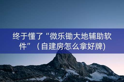 终于懂了“微乐锄大地辅助软件”（自建房怎么拿好牌)