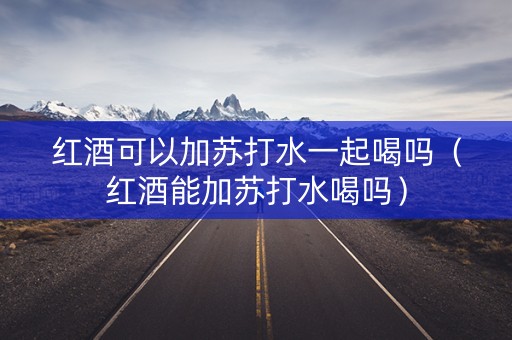 红酒可以加苏打水一起喝吗（红酒能加苏打水喝吗）