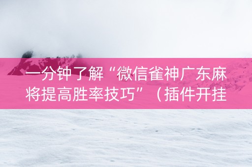 一分钟了解“微信雀神广东麻将提高胜率技巧”（插件开挂免费AI)