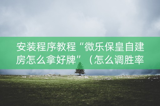 安装程序教程“微乐保皇自建房怎么拿好牌”（怎么调胜率)