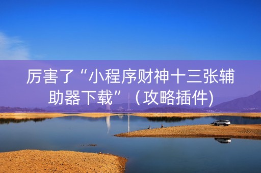 厉害了“小程序财神十三张辅助器下载”（攻略插件)