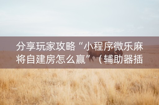 分享玩家攻略“小程序微乐麻将自建房怎么赢”（辅助器插件)