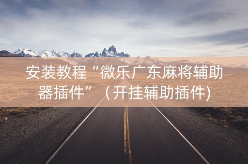 安装教程“微乐广东麻将辅助器插件”（开挂辅助插件)