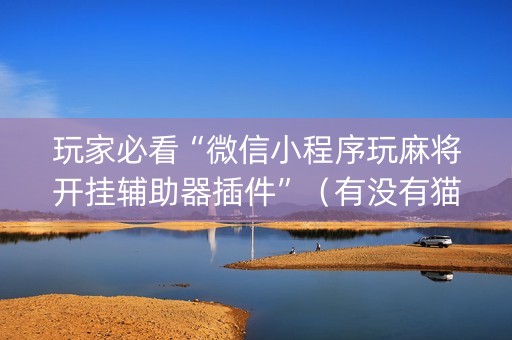 玩家必看“微信小程序玩麻将开挂辅助器插件”（有没有猫腻)