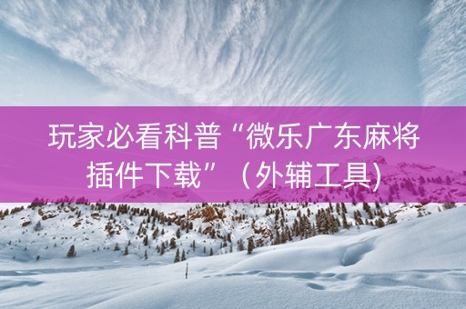玩家必看科普“微乐广东麻将插件下载”（外辅工具)
