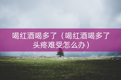 喝红酒喝多了（喝红酒喝多了头疼难受怎么办）