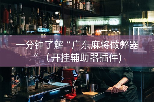 一分钟了解“广东麻将做弊器”（开挂辅助器插件)