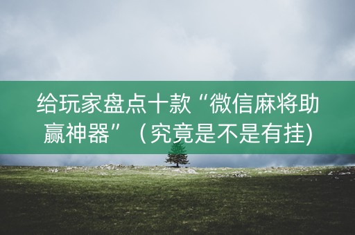 给玩家盘点十款“微信麻将助赢神器”（究竟是不是有挂)