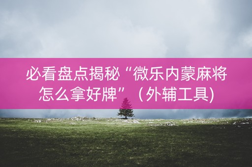 必看盘点揭秘“微乐内蒙麻将怎么拿好牌”（外辅工具)