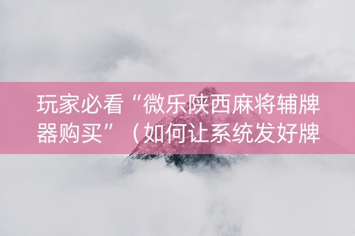 玩家必看“微乐陕西麻将辅牌器购买”（如何让系统发好牌)