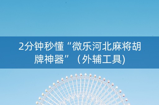 2分钟秒懂“微乐河北麻将胡牌神器”（外辅工具)