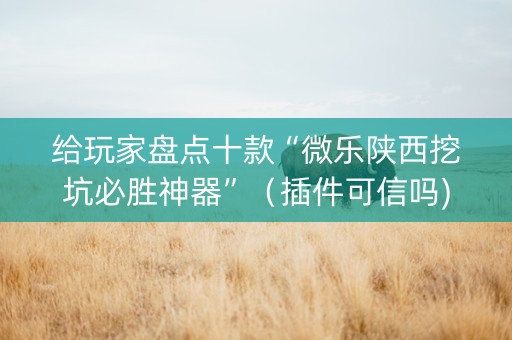给玩家盘点十款“微乐陕西挖坑必胜神器”（插件可信吗)